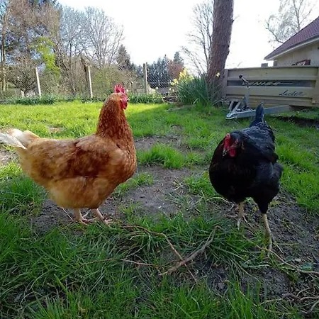 Saint-valery-sur-somme Mons-Boubert